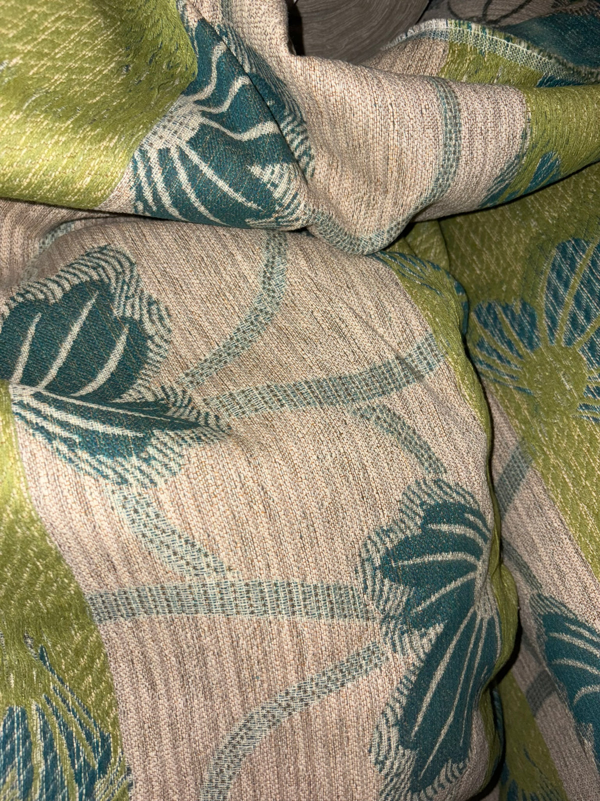 Dragonfly Kiwi