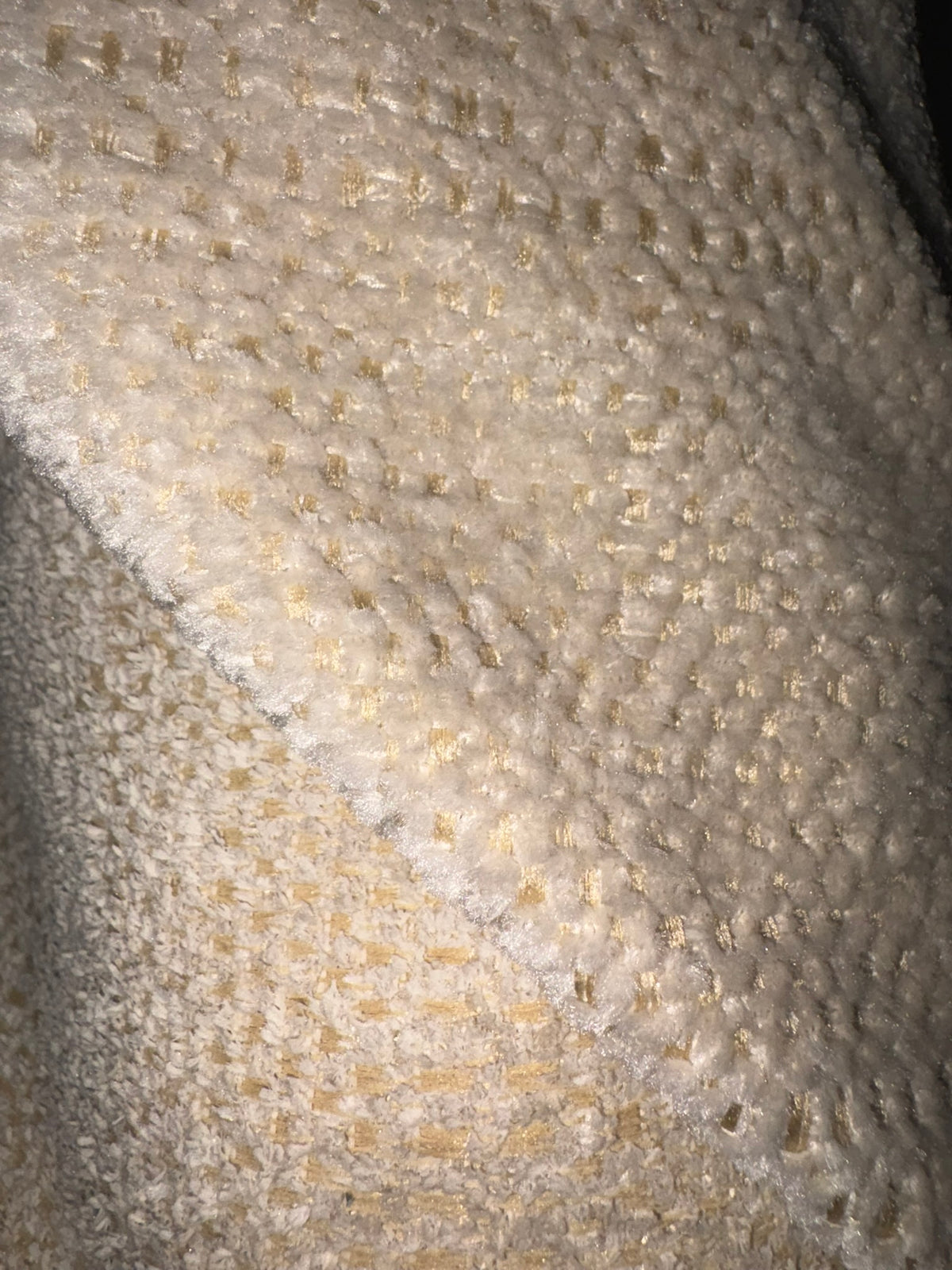 Sassy Cream